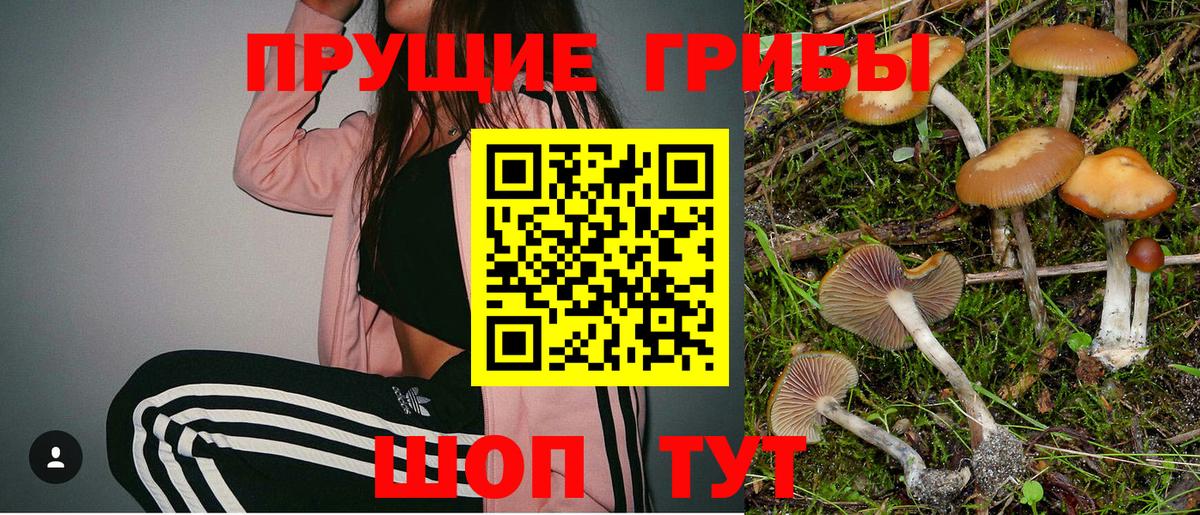 Галлюциногенные грибы Psilocybe  хочу   Вход с VPN  Надым  Псилоцибиновые грибы прущие грибы 